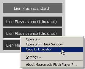 Menu contextuel sur les liens dans flash via une classe ActionScript 2 Menu contextuel sur les liens dans flash via une classe ActionScript 2