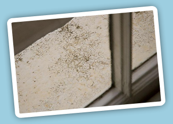 Exemple de rendu d'image traitée par swf Image Replacement Exemple de rendu d'image traitée par swf Image Replacement