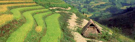 Paysage du ViêtNam Paysage du ViêtNam